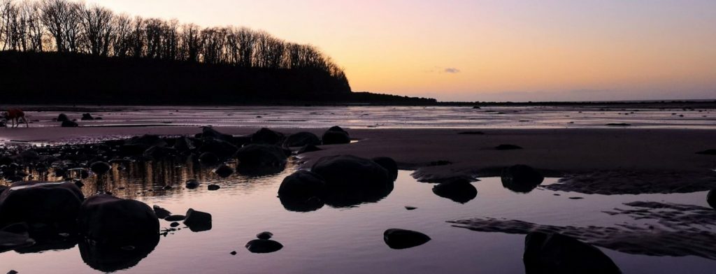 Cei Bach Purple Sunset